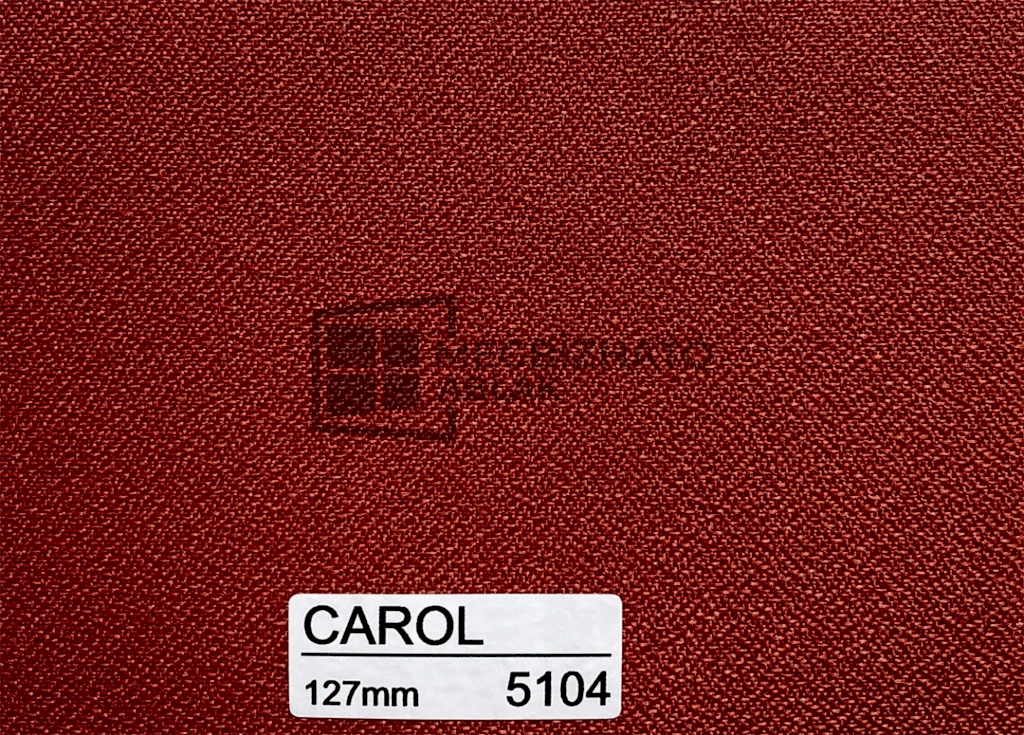 Carol 5104