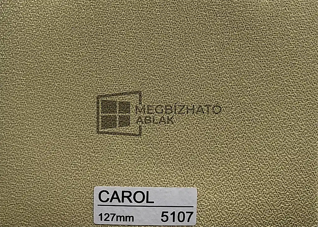 Carol 5107